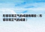 形容非常正氣的成語有哪些（形容非常正氣的成語）