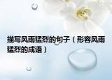 描寫風(fēng)雨猛烈的句子（形容風(fēng)雨猛烈的成語）