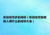 形容非常多的詞語(yǔ)（形容非常聰明的人用什么的成語(yǔ)大全）