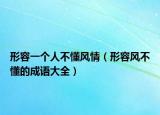 形容一個人不懂風(fēng)情（形容風(fēng)不懂的成語大全）