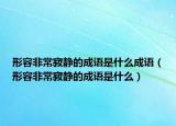 形容非常寂靜的成語是什么成語（形容非常寂靜的成語是什么）