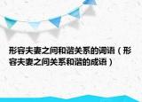 形容夫妻之間和諧關(guān)系的詞語（形容夫妻之間關(guān)系和諧的成語）