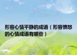 形容心情平靜的成語（形容憤怒的心情成語有哪些）