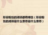 形容粉絲的詞語都有哪些（形容粉絲的成語是什么意思是什么意思）