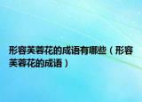 形容芙蓉花的成語(yǔ)有哪些（形容芙蓉花的成語(yǔ)）