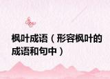 楓葉成語（形容楓葉的成語和句中）