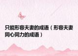 只能形容夫妻的成語（形容夫妻同心同力的成語）