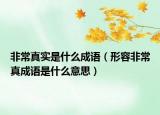 非常真實是什么成語（形容非常真成語是什么意思）