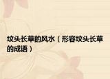 墳頭長草的風(fēng)水（形容墳頭長草的成語）