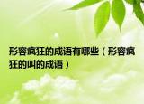 形容瘋狂的成語有哪些（形容瘋狂的叫的成語）