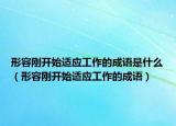 形容剛開(kāi)始適應(yīng)工作的成語(yǔ)是什么（形容剛開(kāi)始適應(yīng)工作的成語(yǔ)）