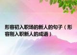 形容初入職場的新人的句子（形容剛?cè)肼毿氯说某烧Z）
