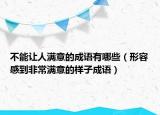 不能讓人滿意的成語有哪些（形容感到非常滿意的樣子成語）
