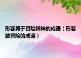 形容勇于冒險(xiǎn)精神的成語（形容敢冒險(xiǎn)的成語）