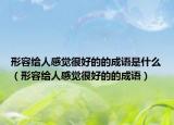 形容給人感覺很好的的成語(yǔ)是什么（形容給人感覺很好的的成語(yǔ)）
