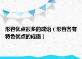 形容優(yōu)點很多的成語（形容各有特色優(yōu)點的成語）