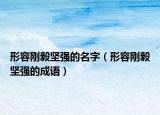 形容剛毅堅(jiān)強(qiáng)的名字（形容剛毅堅(jiān)強(qiáng)的成語(yǔ)）