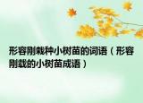 形容剛栽種小樹苗的詞語（形容剛載的小樹苗成語）