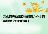 怎么形容做事沒有感恩之心（形容感恩之心的成語）