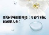形容花特別的詞語（形容個別花的成語大全）