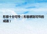 形容十分可憐（形容感到可憐的成語）