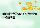 形容剛學(xué)會的詞語（形容剛學(xué)會一點的成語）