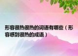 形容很熱很熱的詞語有哪些（形容感到很熱的成語）