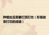 種植絲瓜需要打頂打岔（形容故意打岔的成語(yǔ)）