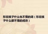 形容孩子什么也不懂的詞（形容孩子什么都不懂的成語）