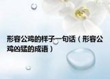 形容公雞的樣子一句話（形容公雞兇猛的成語(yǔ)）