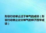 形容行動舉止過于神氣的成語（形容行動舉止過分神氣的樣子四字成語）