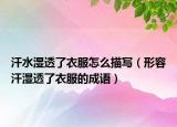 汗水濕透了衣服怎么描寫（形容汗?jié)裢噶艘路某烧Z(yǔ)）