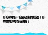 形容冷的汗毛豎起來的成語（形容寒毛豎起的成語）
