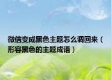 微信變成黑色主題怎么調(diào)回來（形容黑色的主題成語）