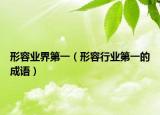 形容業(yè)界第一（形容行業(yè)第一的成語）