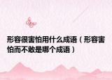 形容很害怕用什么成語（形容害怕而不敢是哪個成語）