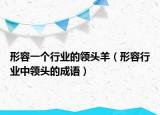 形容一個(gè)行業(yè)的領(lǐng)頭羊（形容行業(yè)中領(lǐng)頭的成語(yǔ)）
