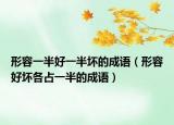 形容一半好一半壞的成語（形容好壞各占一半的成語）