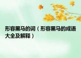 形容黑馬的詞（形容黑馬的成語大全及解釋）