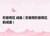 形容荷花 成語（形容荷形容荷花的成語）
