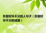 形容好壞不分的人句子（形容好壞不分的成語）