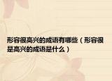 形容很高興的成語有哪些（形容很是高興的成語是什么）