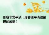 形容非常平淡（形容很平淡很普通的成語）