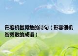 形容機(jī)智勇敢的詩句（形容很機(jī)智勇敢的成語）