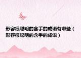 形容很聰明的含手的成語(yǔ)有哪些（形容很聰明的含手的成語(yǔ)）