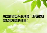 明顯看得出來的成語（形容很明顯就能知道的成語）