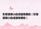 形容很弱小的詞語有哪些（形容很弱小的成語有哪些）