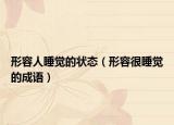 形容人睡覺的狀態(tài)（形容很睡覺的成語）