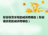 形容非常親密的成語(yǔ)有哪些（形容很親密的成語(yǔ)有哪些）