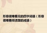 形容很難看見的四字詞語（形容很難看得清楚的成語）